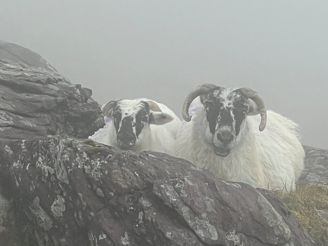 Joyce's Ireland Hiking Tours景点图片