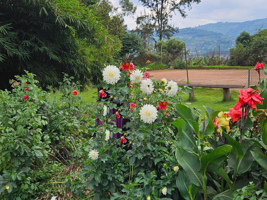 White Horse Inn主图