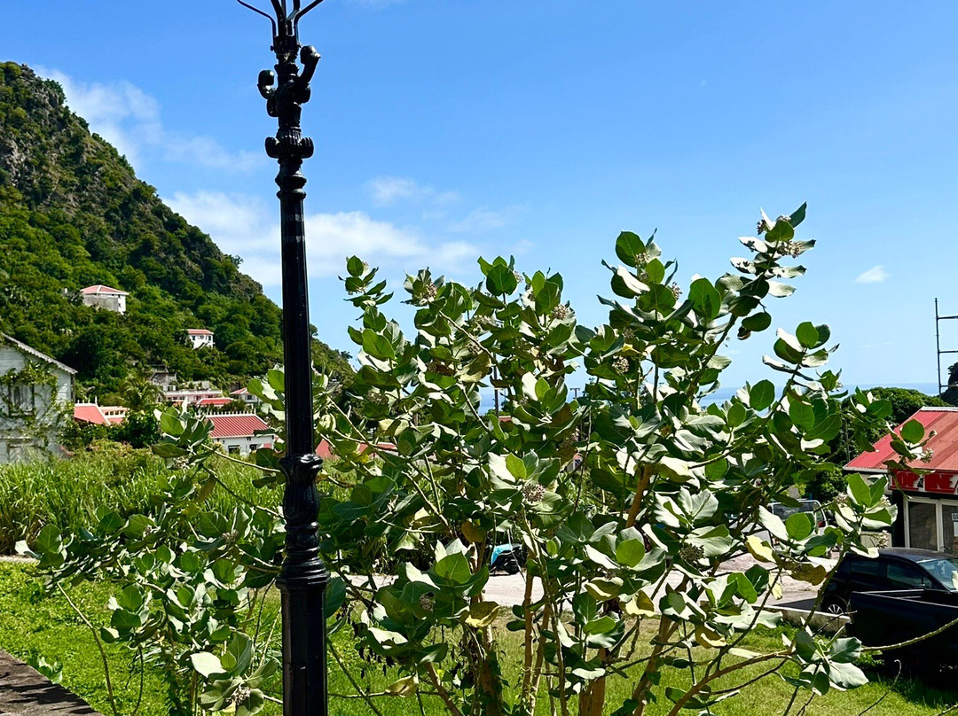 Ladder Bay-The Bottom必去景点