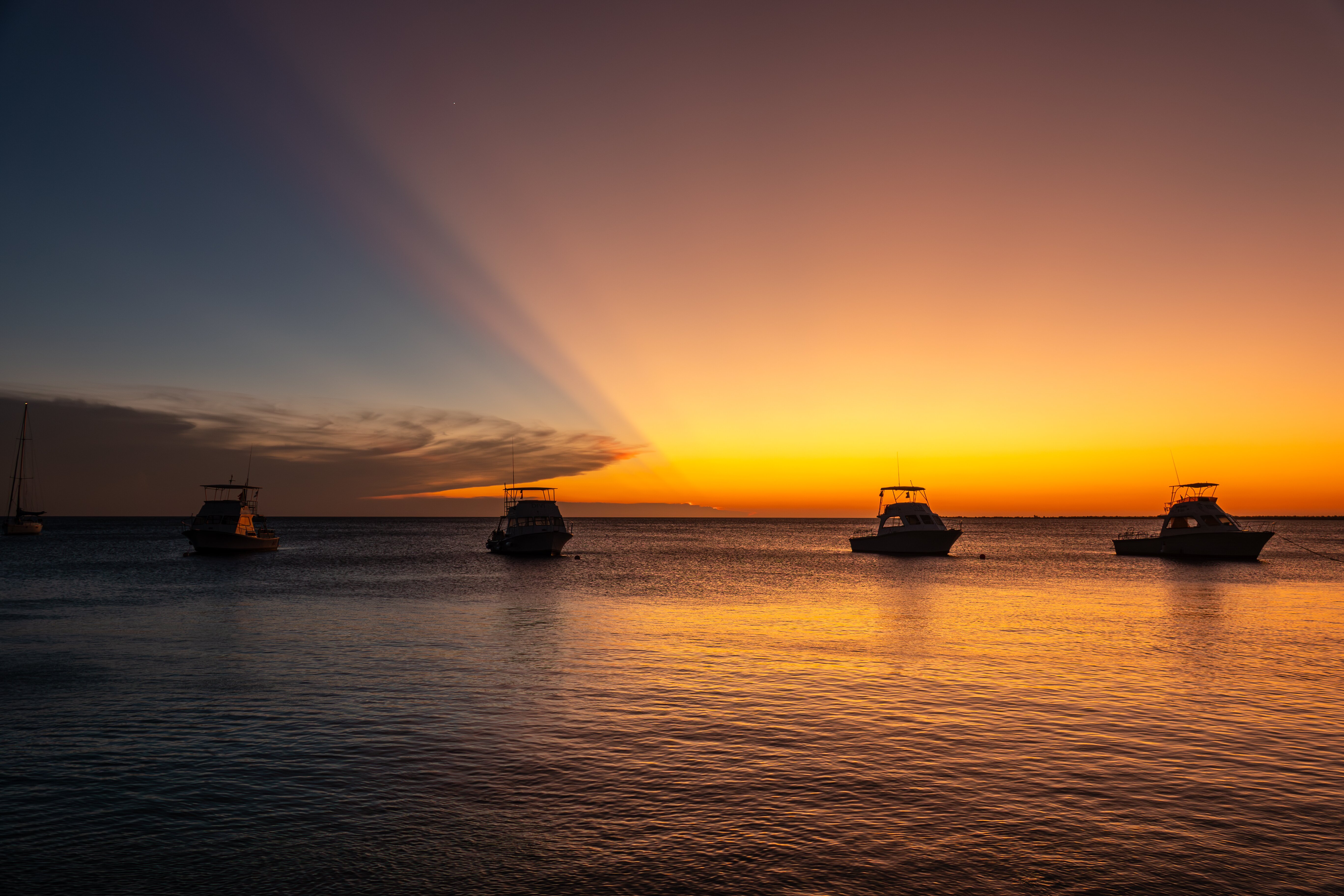 Divi Flamingo Beach Resort & Casino-酒店景观