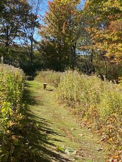 Gilsland Farm Audubon Center景点图片