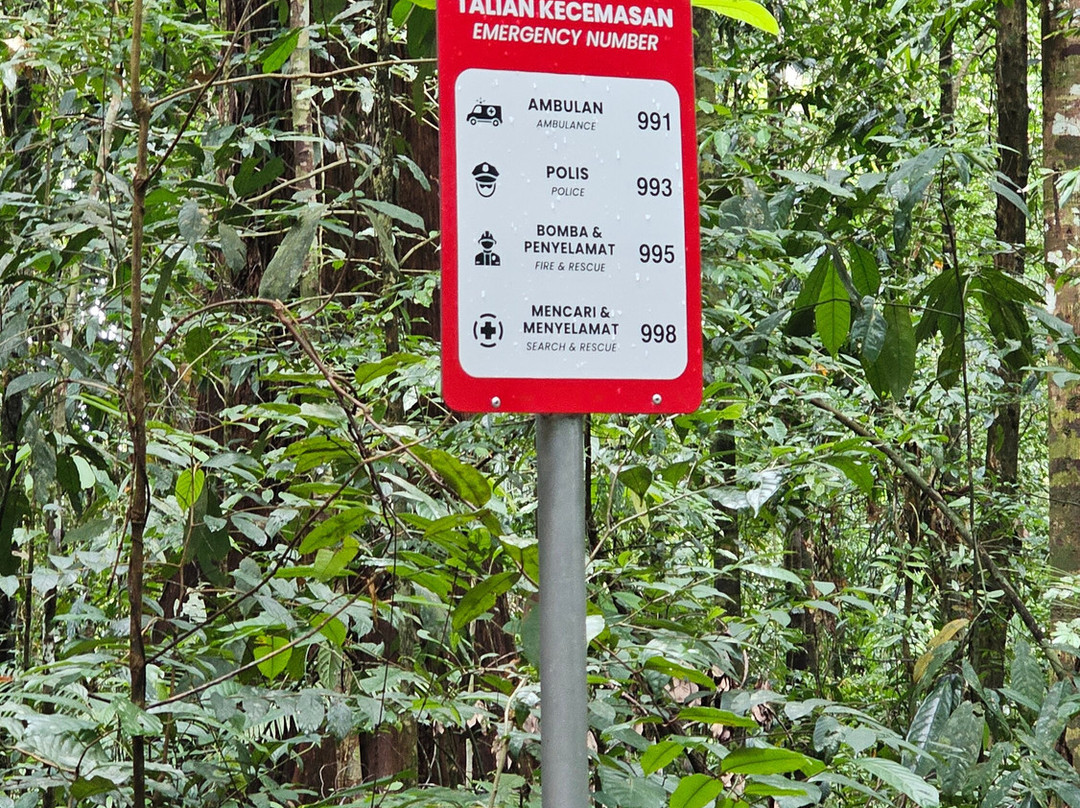 Bukit Patoi Forest Recreation Park-Bangar必去景点