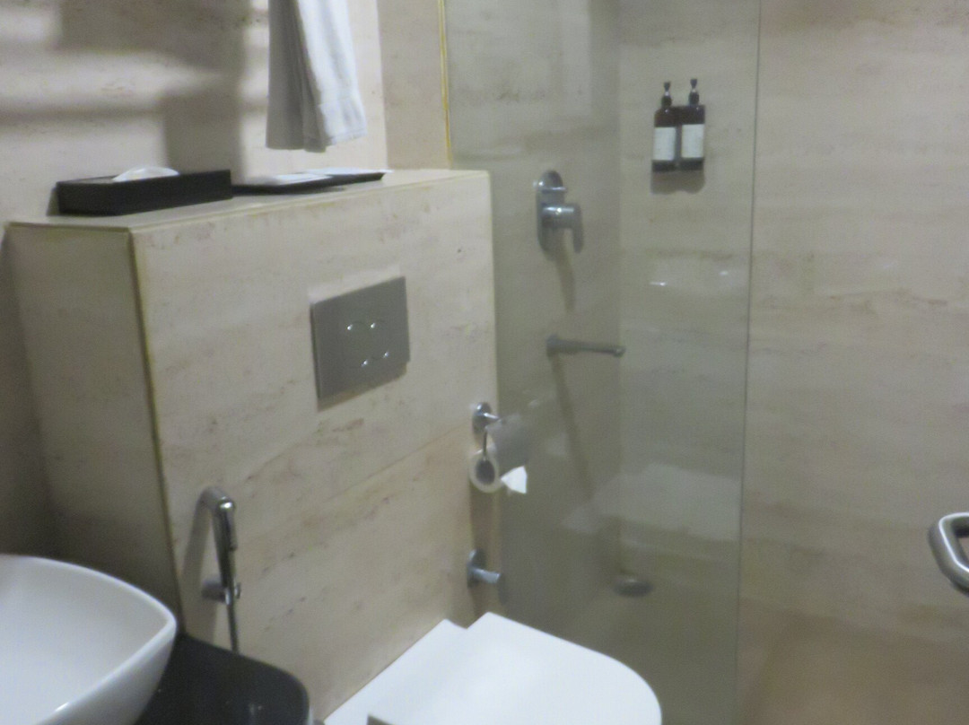 Regenta Inn Sambalpur主图