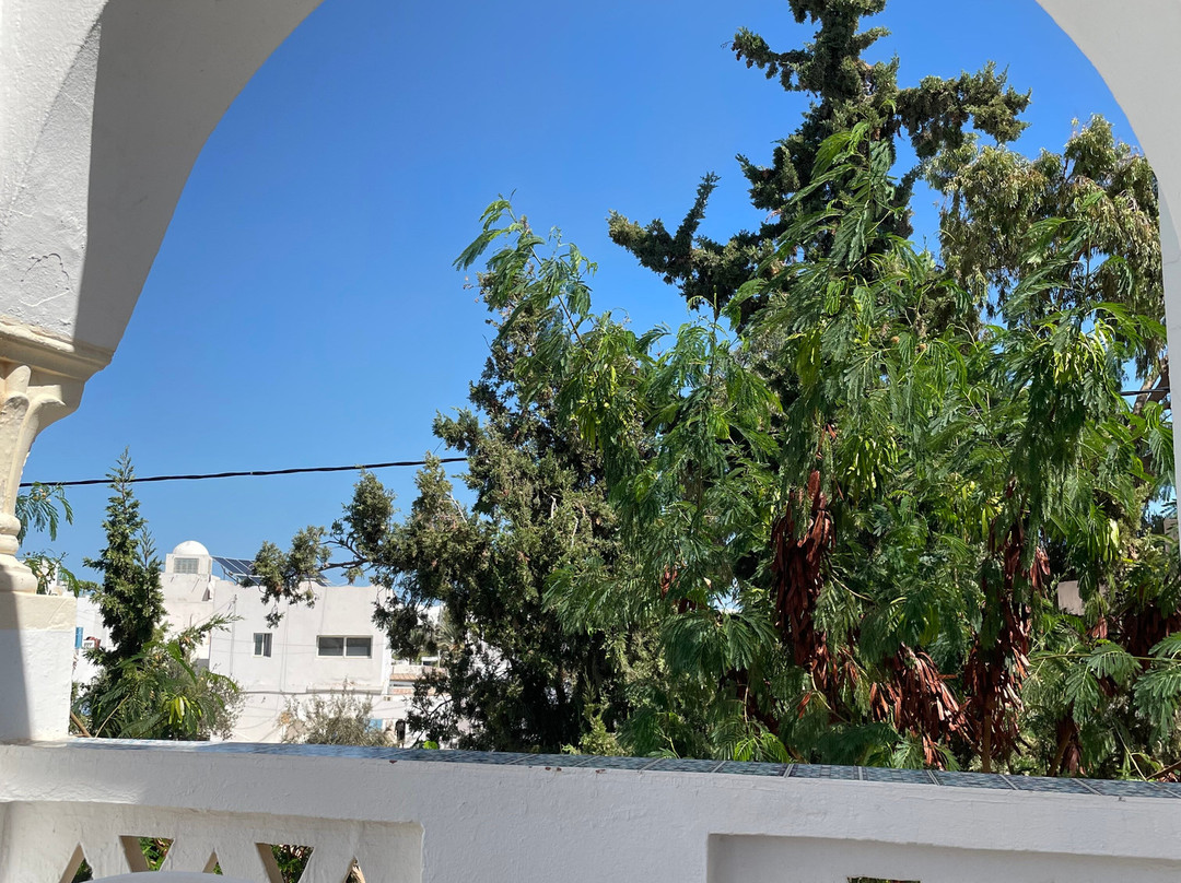 Hotel Djerba Saray主图