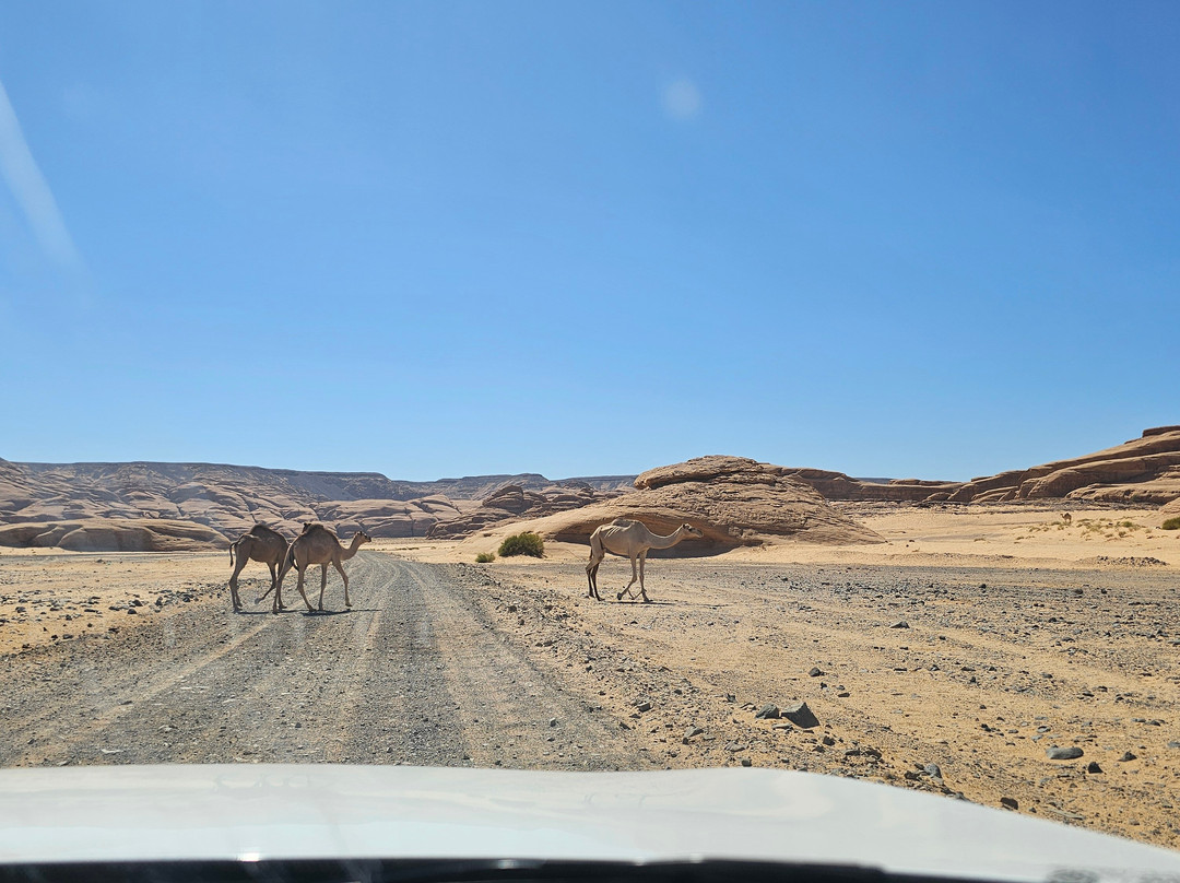 Rainbow Rock-AlUla必去景点
