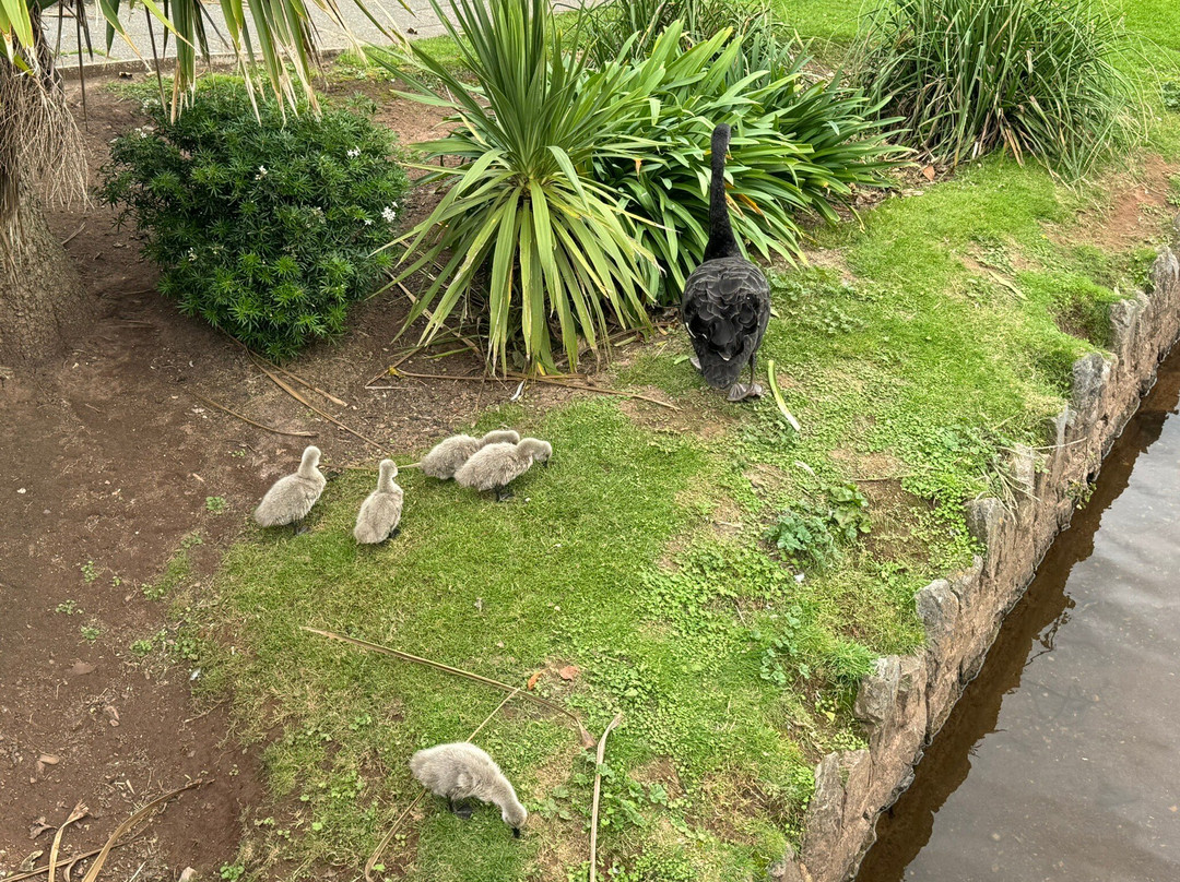 Dawlish Lawn and Dawlish Water-道利什必去景点