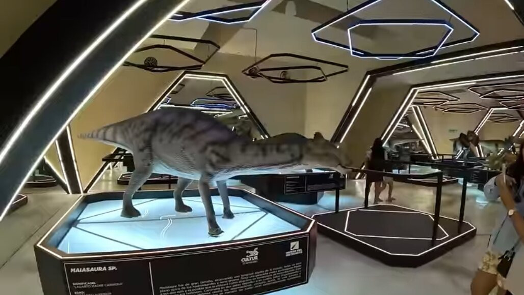 MUSEO DEL METEORITO EL ORIGEN DE LA NUEVA VIDA-Progreso必去景点