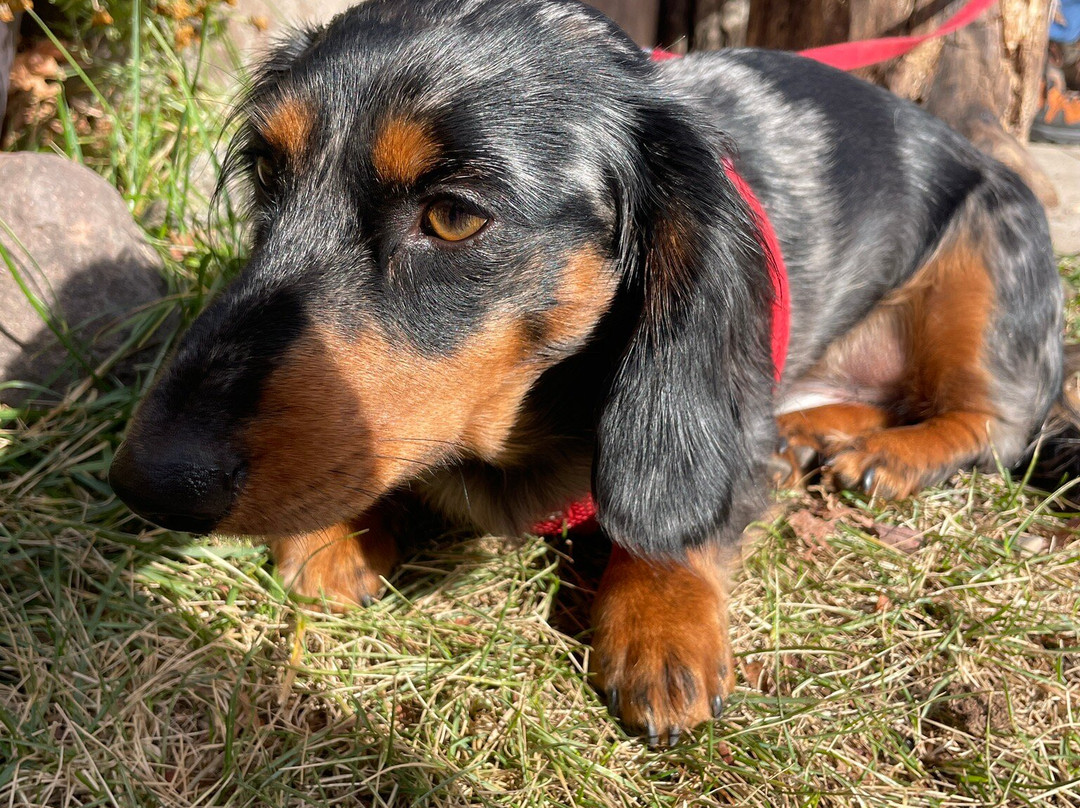 Wild Country Maple Products-Lutsen必去景点