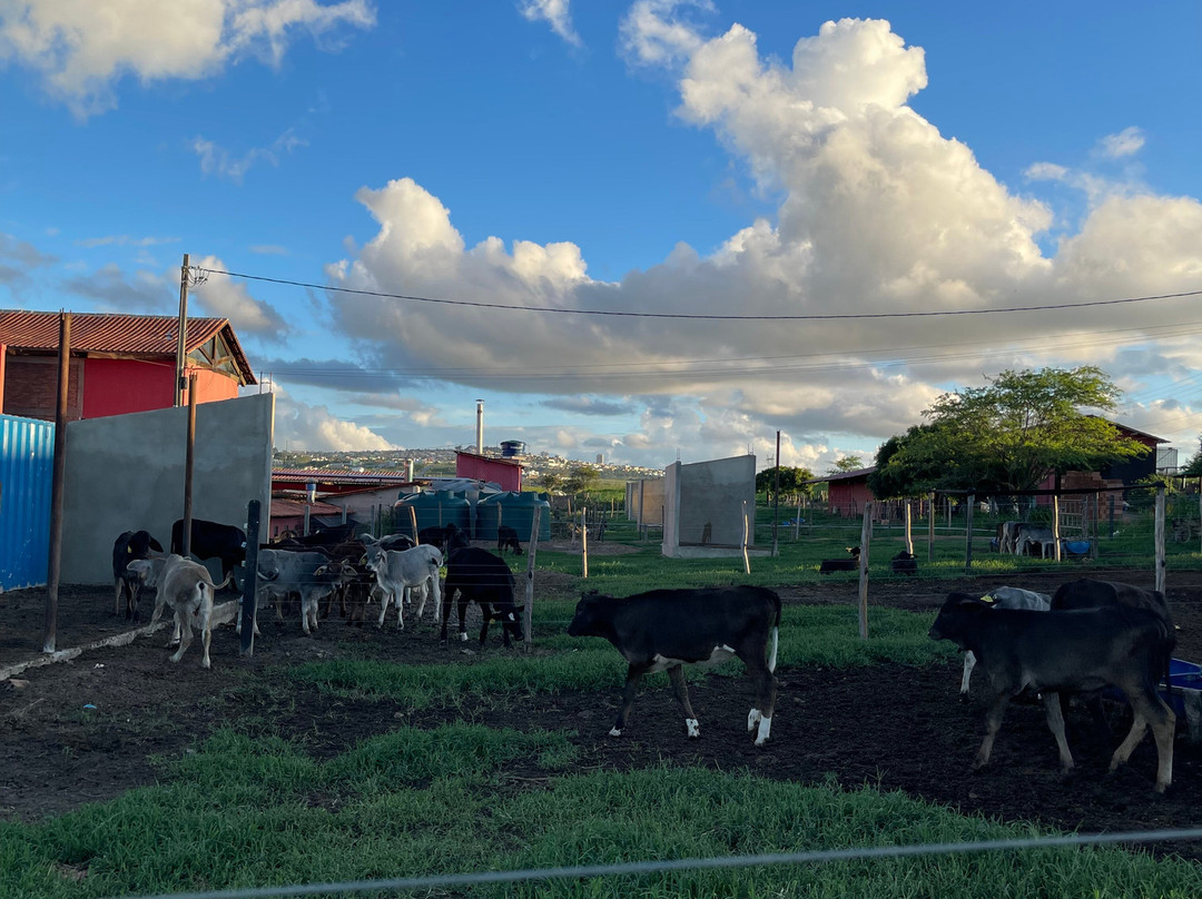 Fazenda Polilac-Garanhuns必去景点