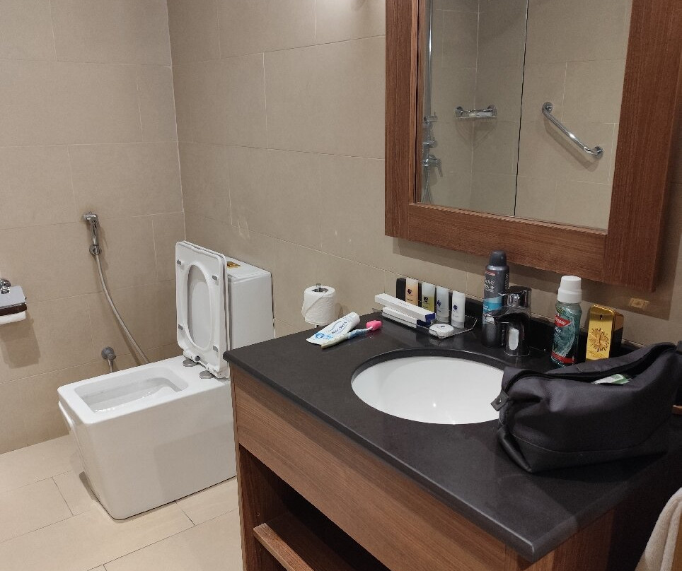 Bristol Palace Hotel主图