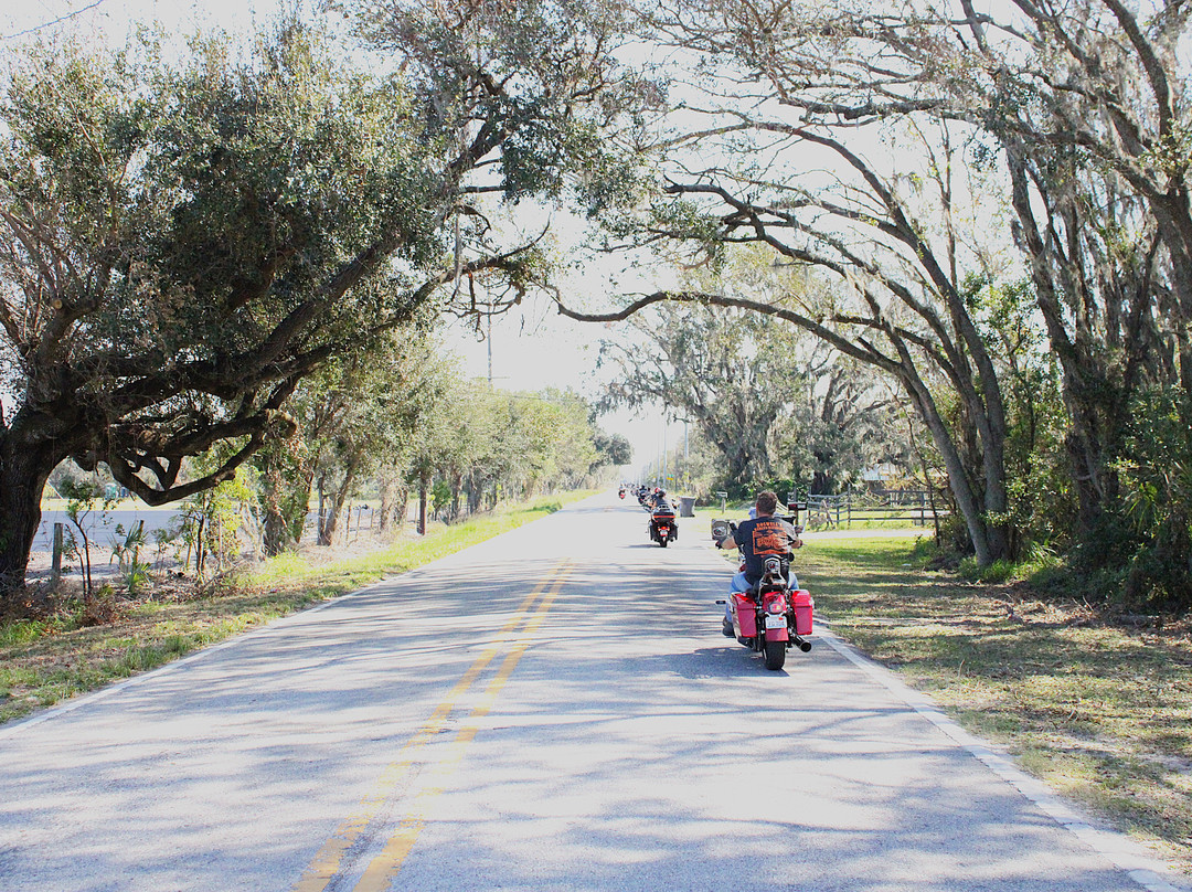 Alafia River State Park-Lithia必去景点