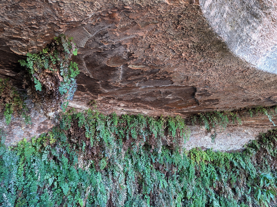 Hanging Gardens Trail-佩吉必去景点
