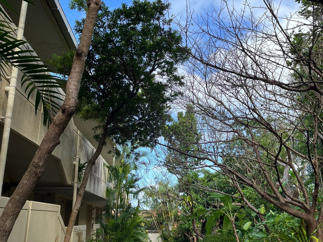 冲绳可可花园度假村主图