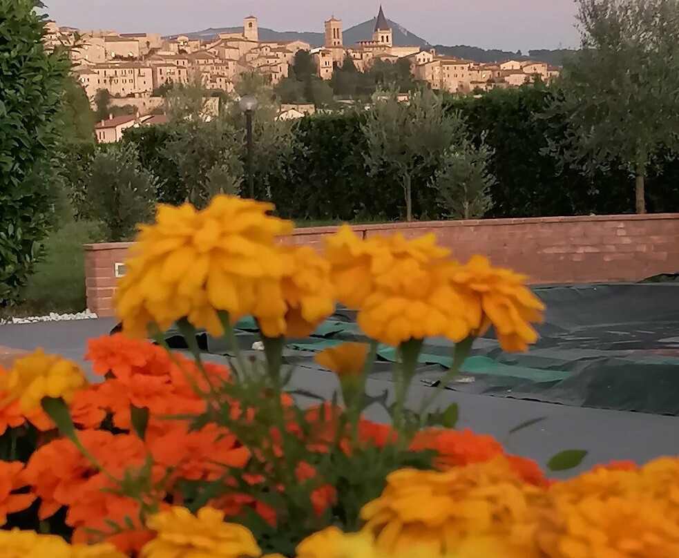 Residence Terra Dei Santi Country House主图