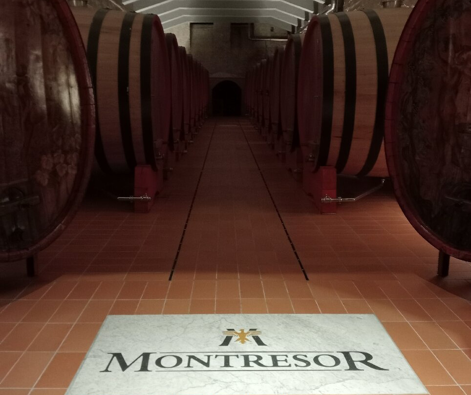 Cantine Giacomo Montresor景点图片
