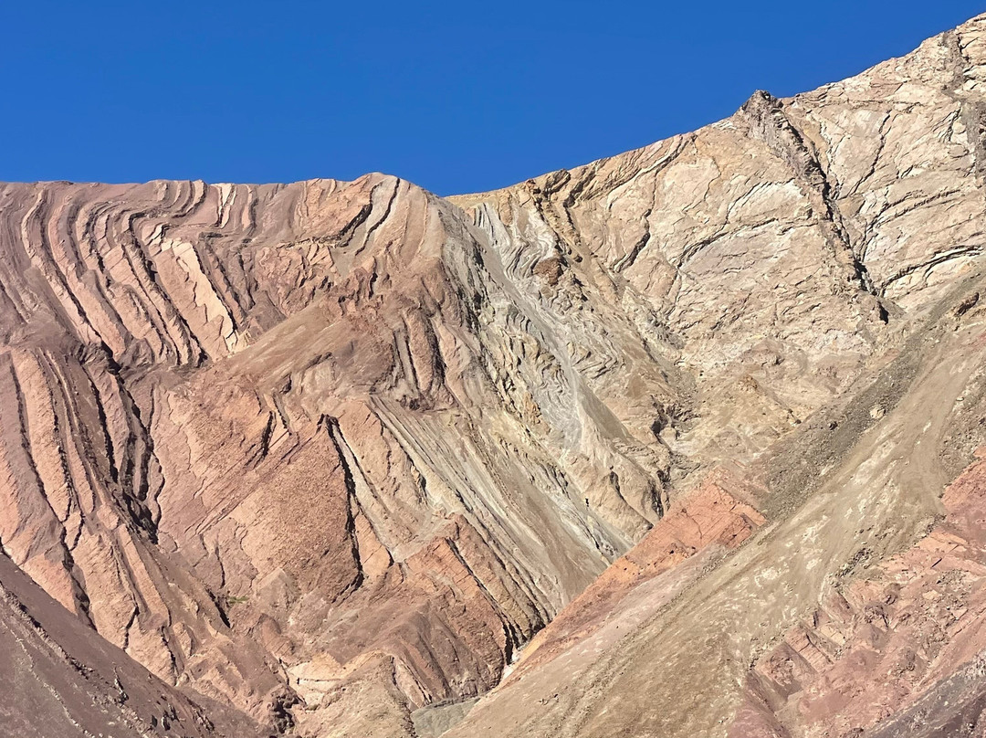 Tour Operador Puna de Atacama-Copiapo必去景点