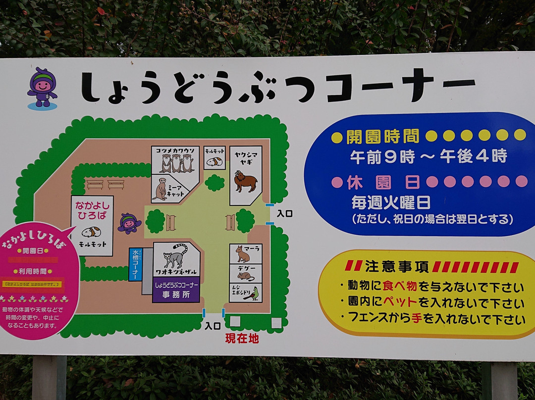 Ageo Maruyama Park Small Zoo-上尾市必去景点