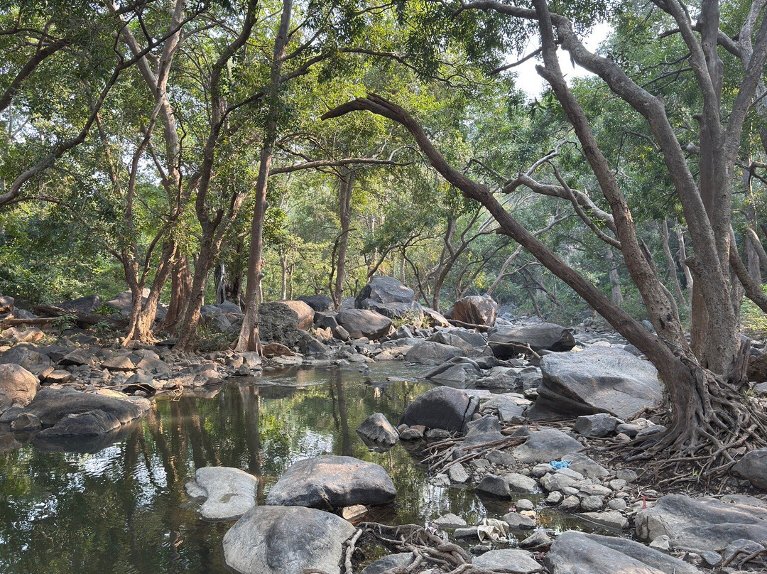 Haveli Uma Megh Tourist Guest House主图