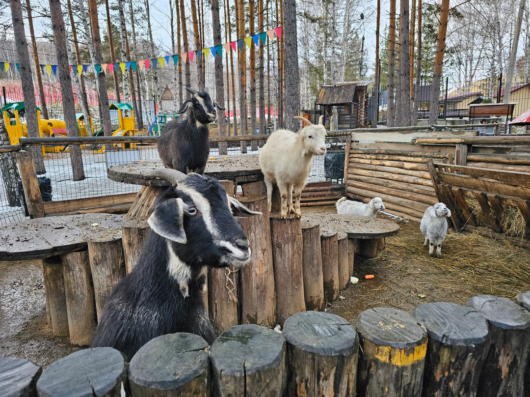 Zoo景点图片