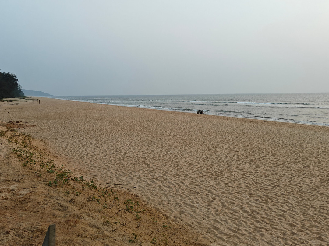 Eco Beach景点图片