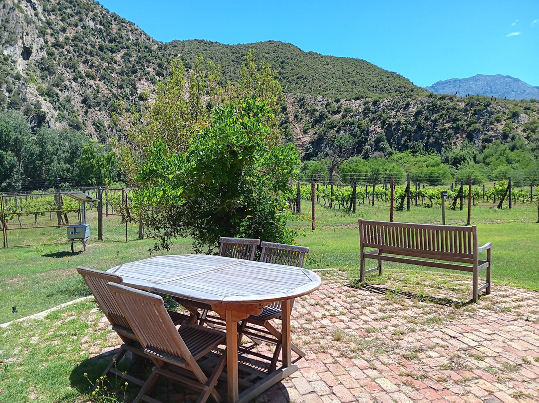 Peter Bayly Wines-Calitzdorp必去景点