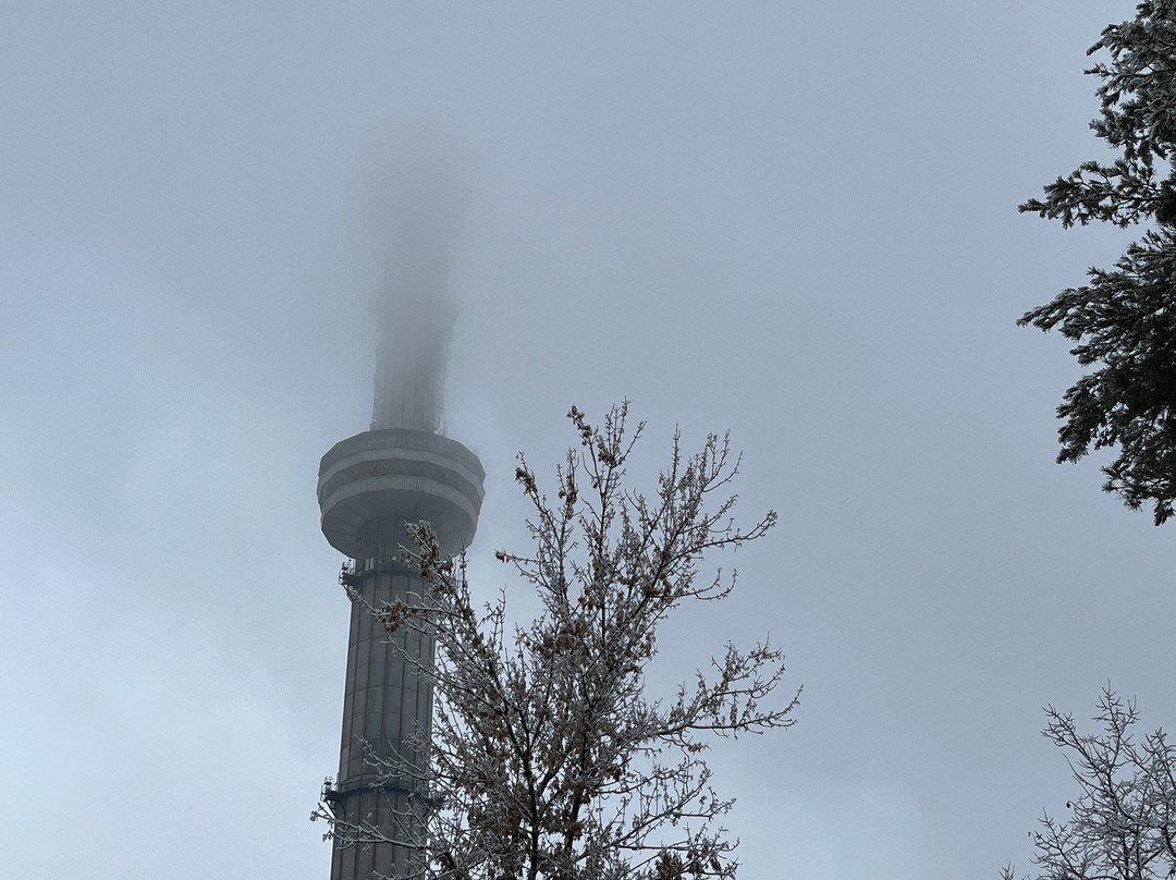 Almaty Television Tower-阿拉木图必去景点