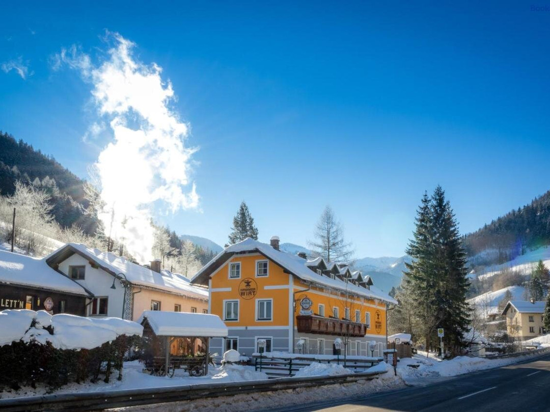 Hollenstein an der Ybbs酒店住宿-Gasthof zum Hammer