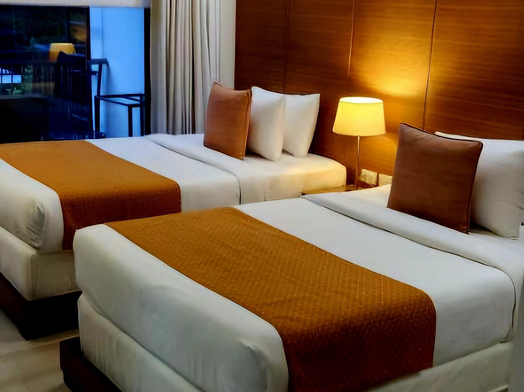 庞特菲诺酒店主图