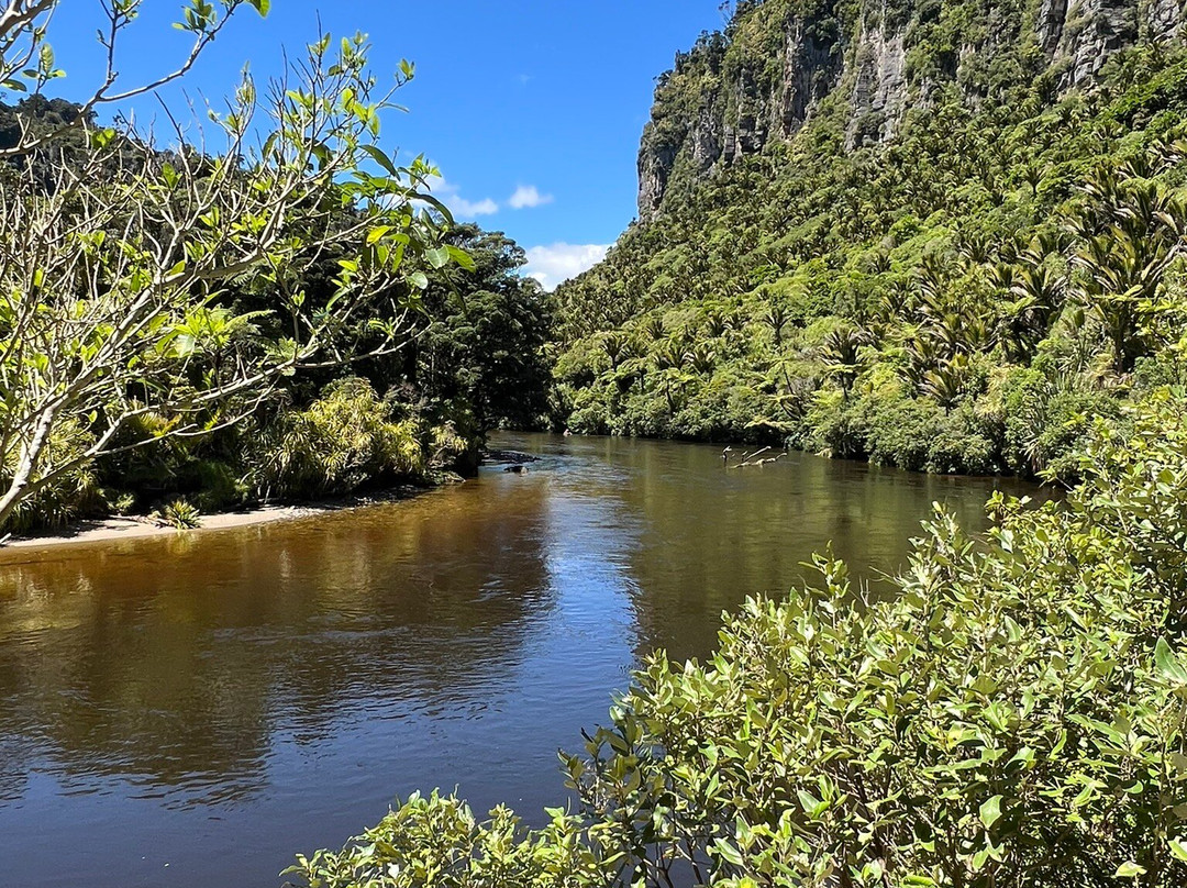 Pororari River Track景点图片