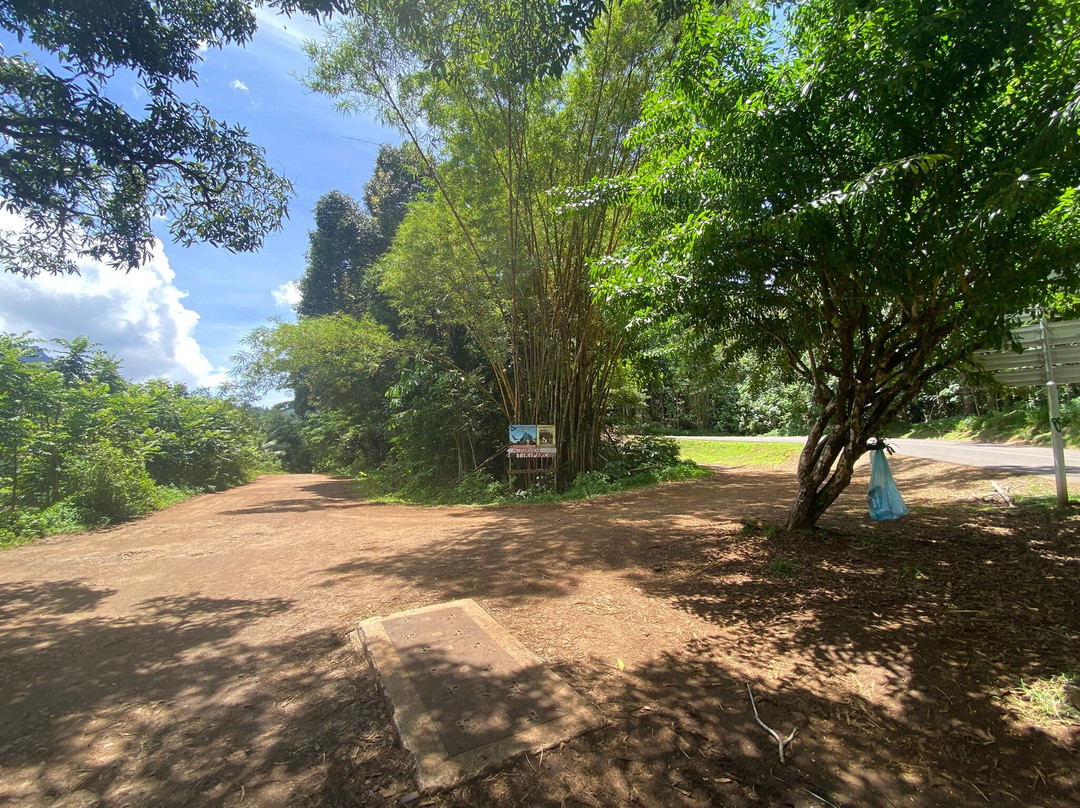 Vallée D'opuhonu (pineapple Fields)