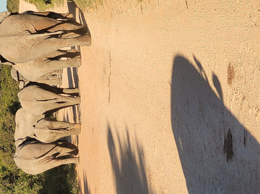 Happy Jackal Guest House主图