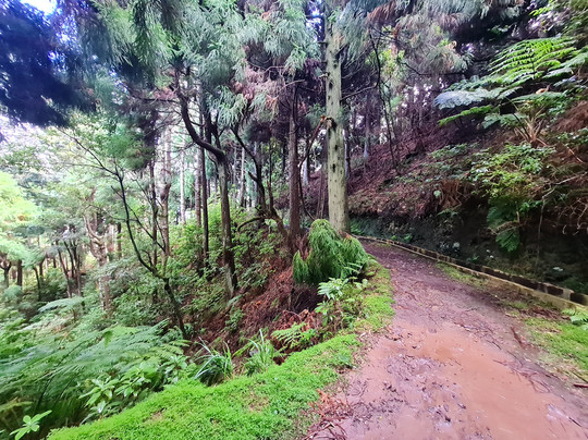 Just Madeira 4x4-沙尔必去景点