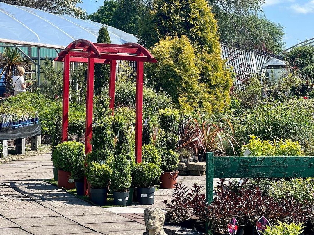 Longford Garden Centre-Longford必去景点