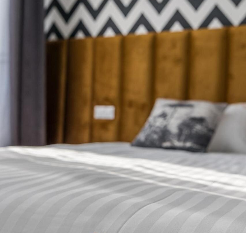 Hotel Vila Central Boutique Satu Mare