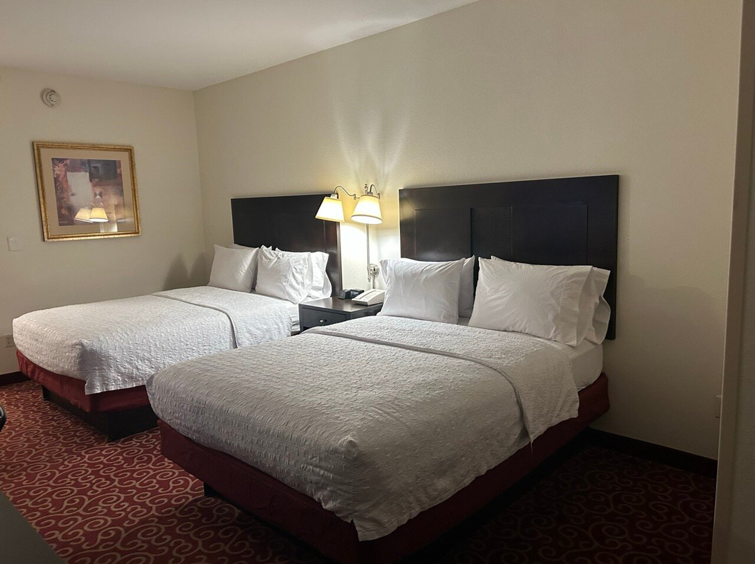 Hampton Inn Kingston主图