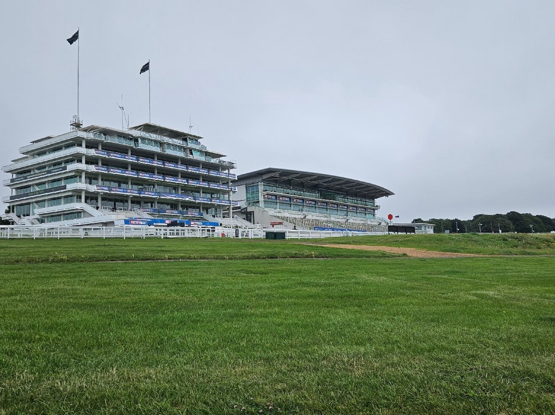 Holiday Inn Express London - Epsom Downs by IHG主图