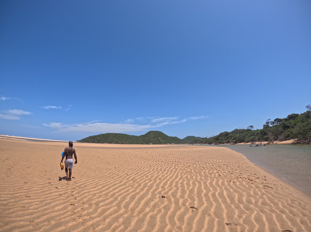 Safari and Surf景点图片