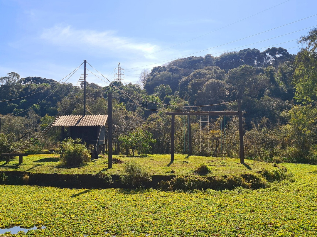 Zoológico Municipal de Curitiba-库里提巴必去景点