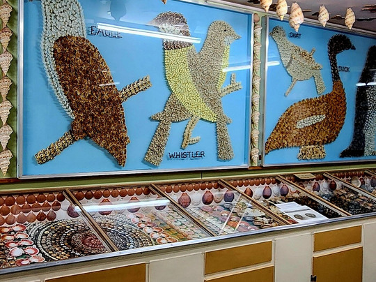 Ayr Nature Display-Ayr必去景点