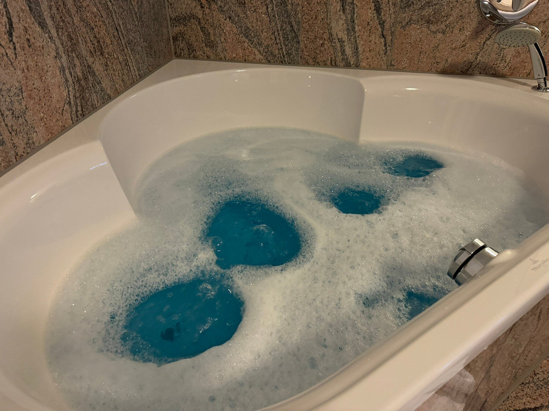 Wildpark Hotel主图