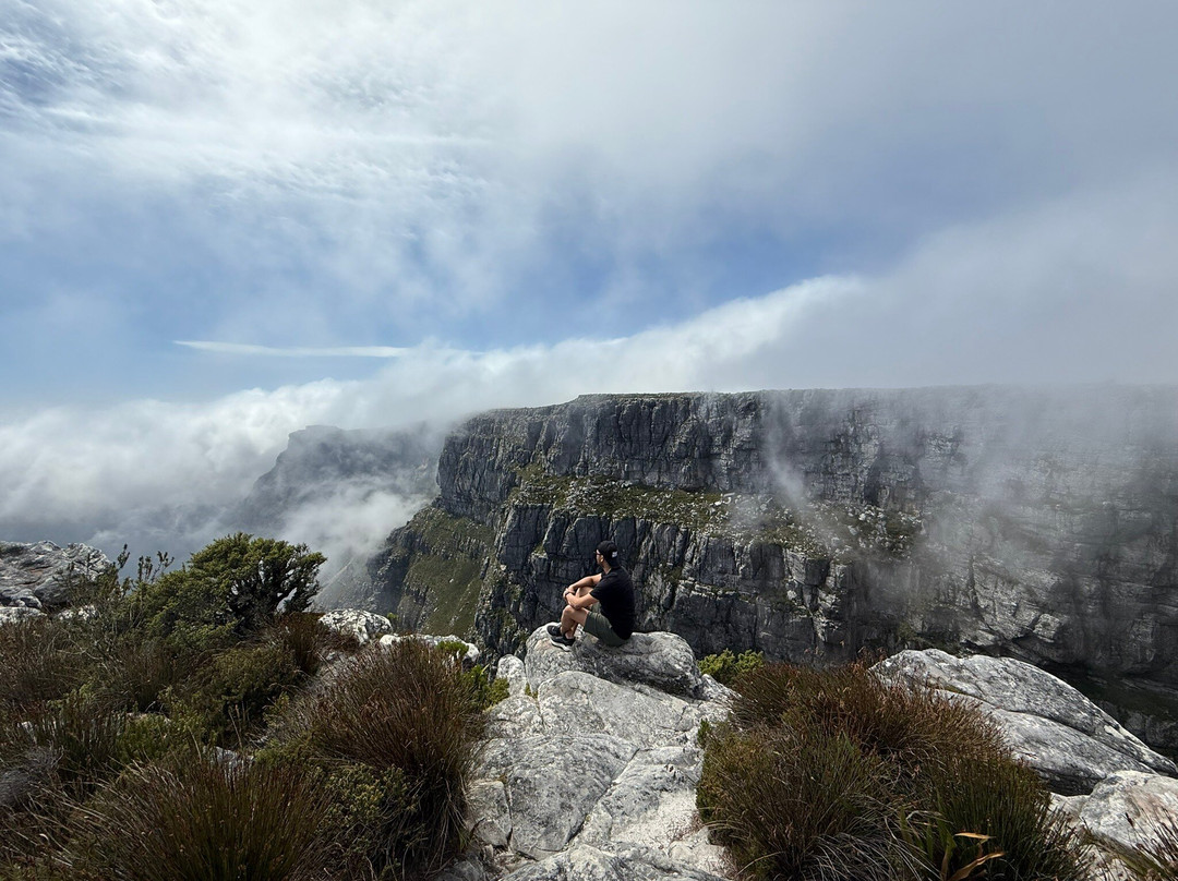 Table Mountain National Park