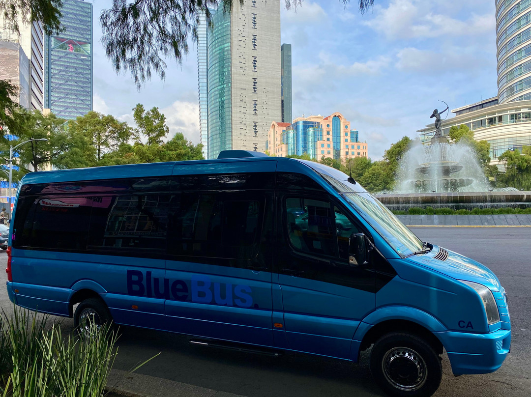 BlueBus.-墨西哥城必去景点