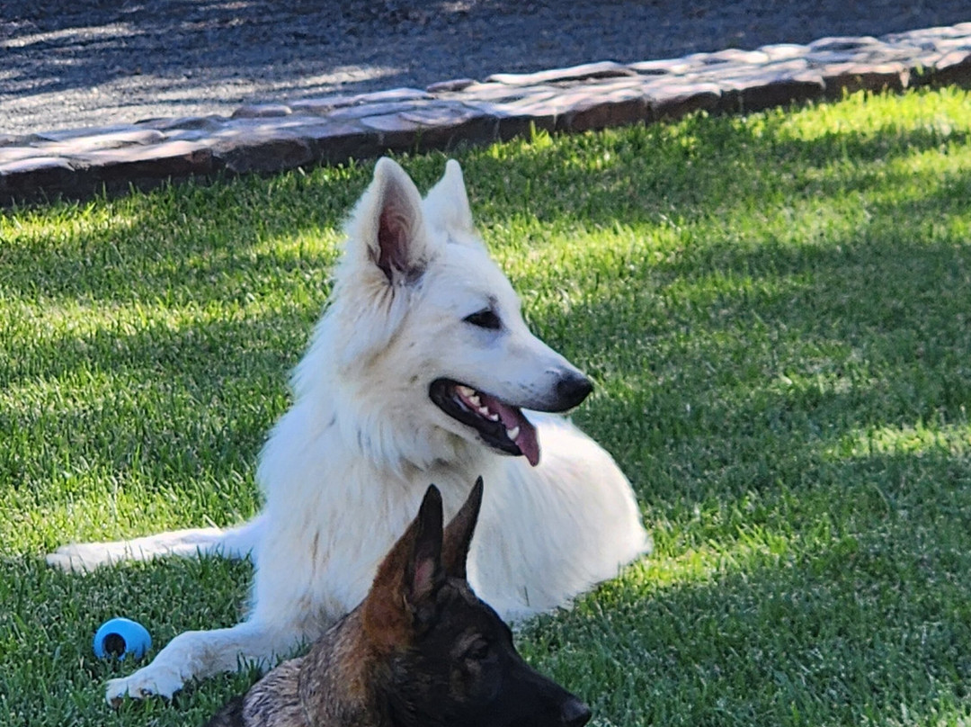 Moonlight Manor Boutique Guesthouse主图