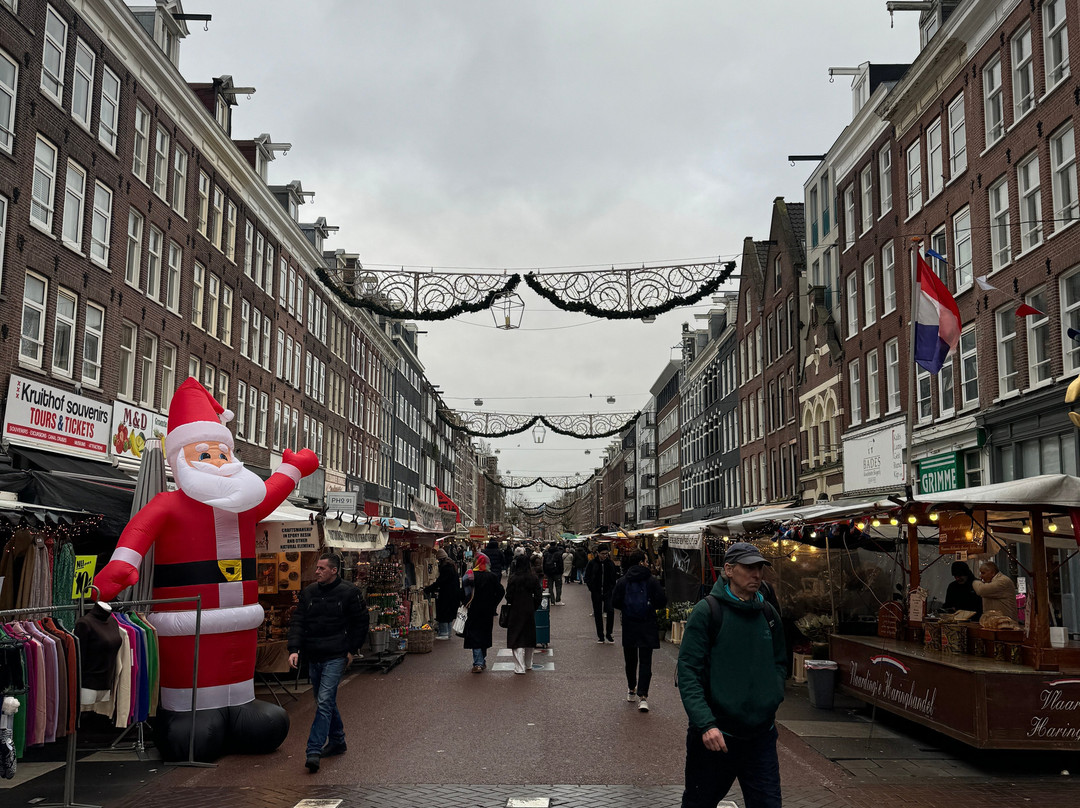 Artsy Tours-阿姆斯特丹必去景点