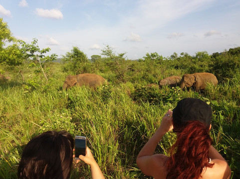 Kalum Tours - Sri Lanka-科奇克德必去景点