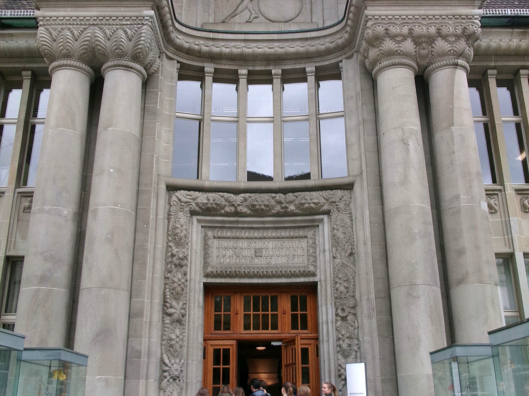 Zoologisches Museum der Universität Zürich-苏黎世必去景点