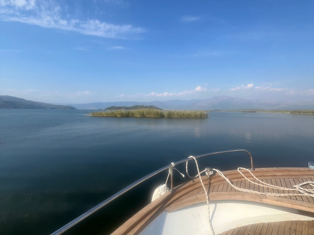 Dalyan Villa Kiydan Boat Tours景点图片