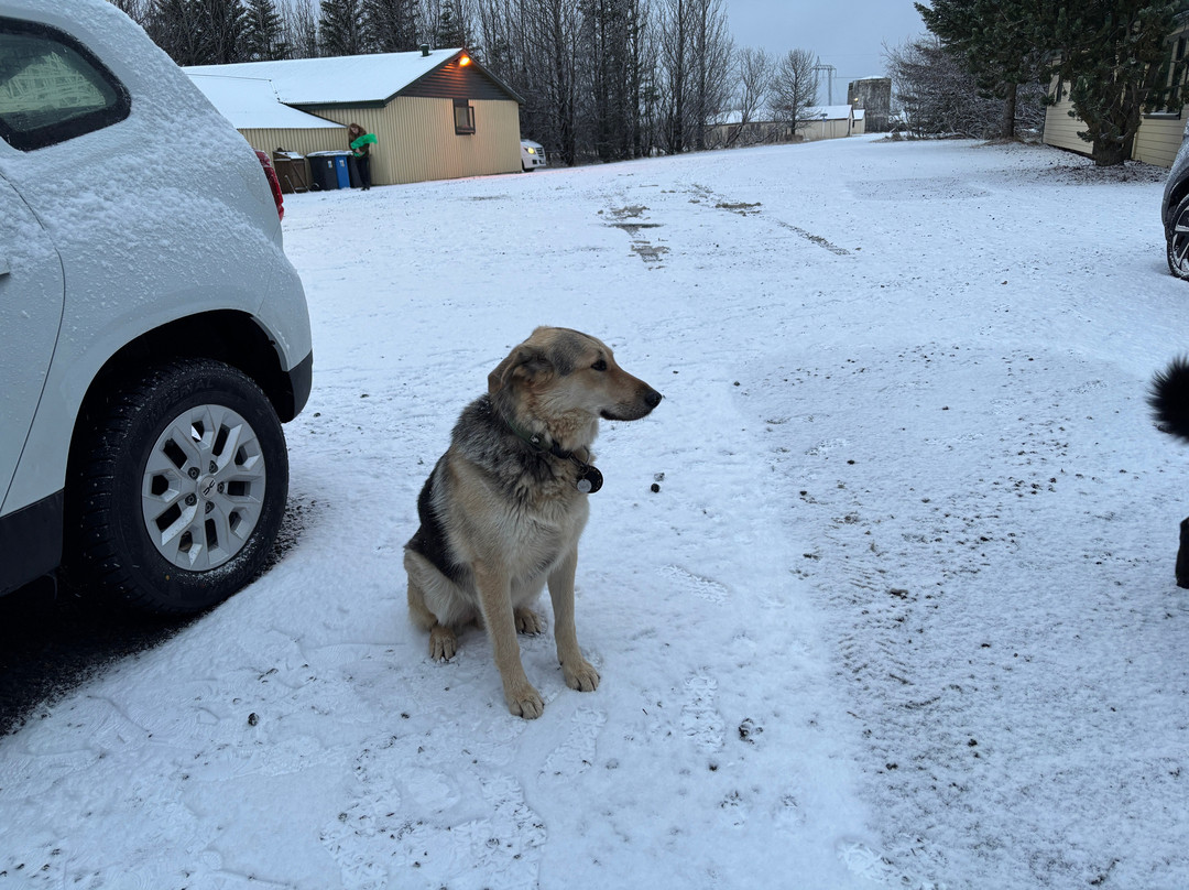 Hotel Hjarðarból主图