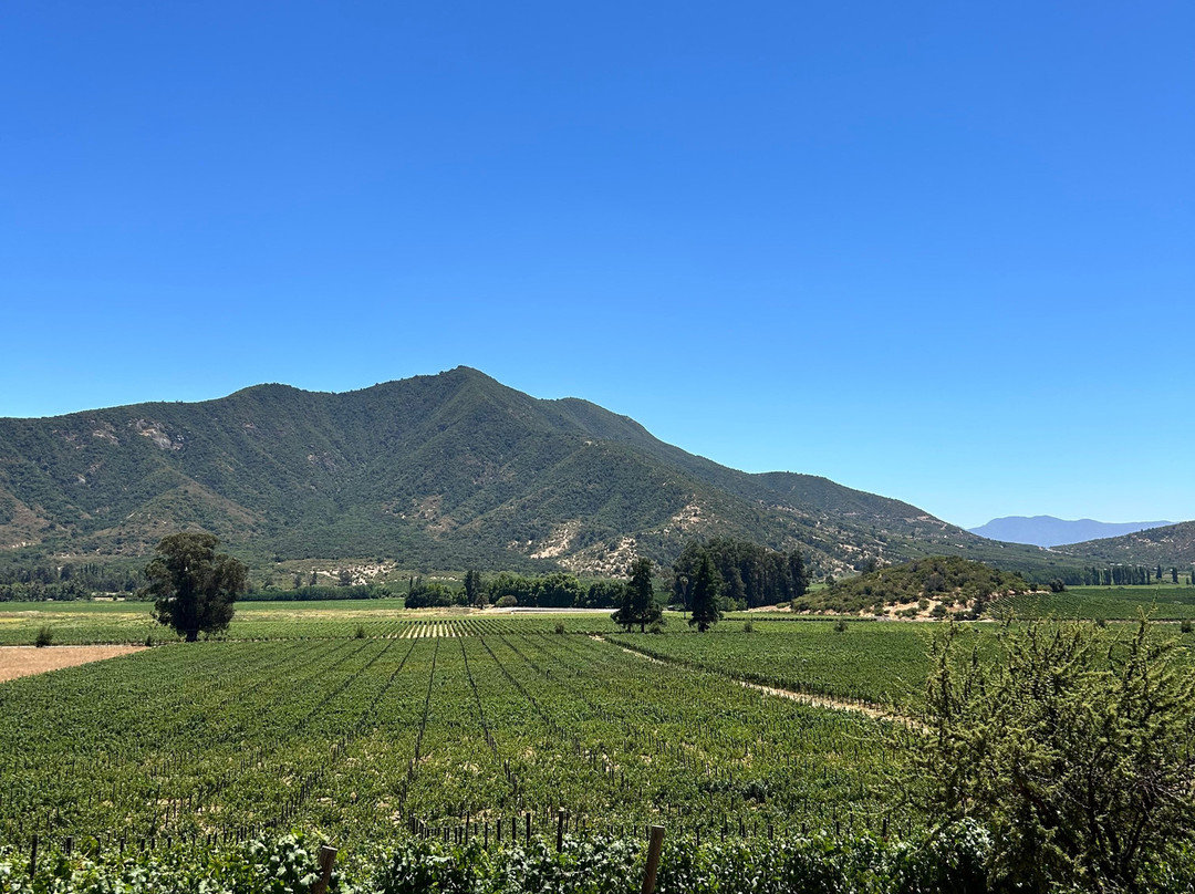 Clos de Luz-Pichidegua必去景点