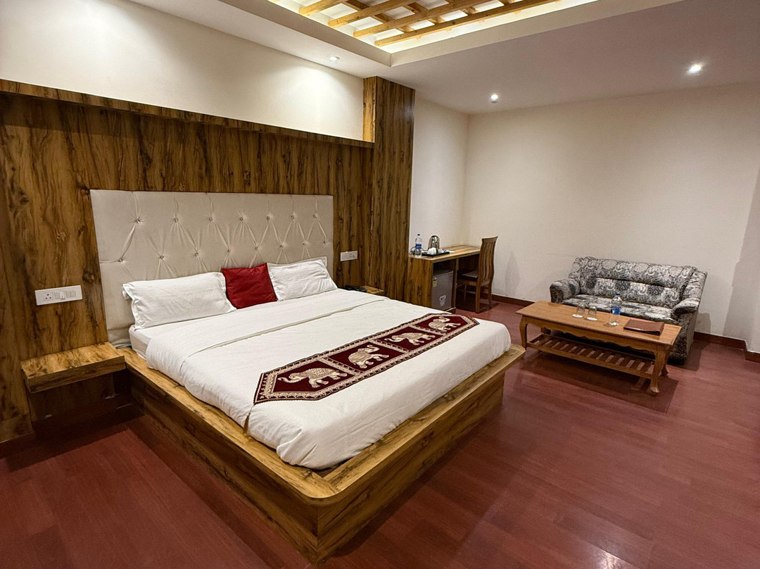 Hotel Dewan Palace Dharamshala主图